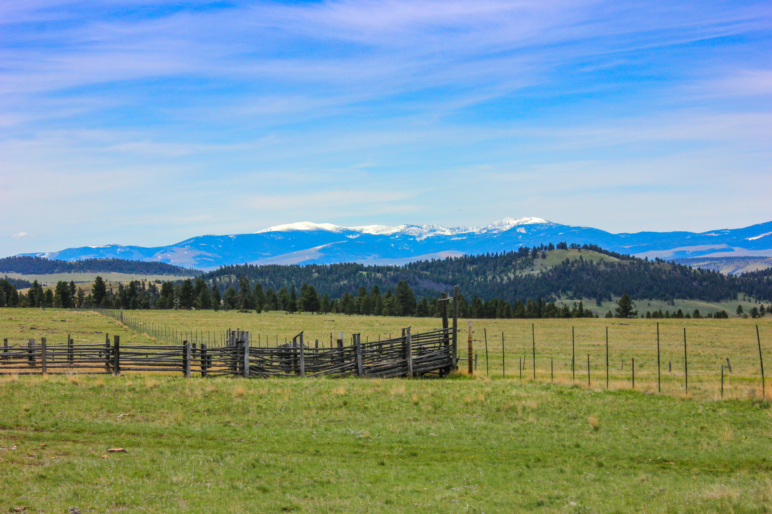 Little Belt Elk Ranch White Sulphur Springs Fay Ranches