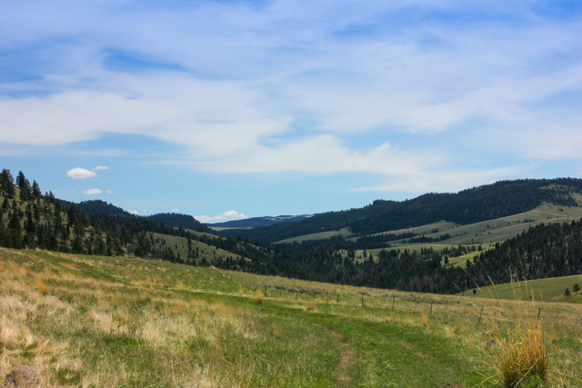 Timber and grass Montana Little Belt Elk Ranch | Fay Ranches