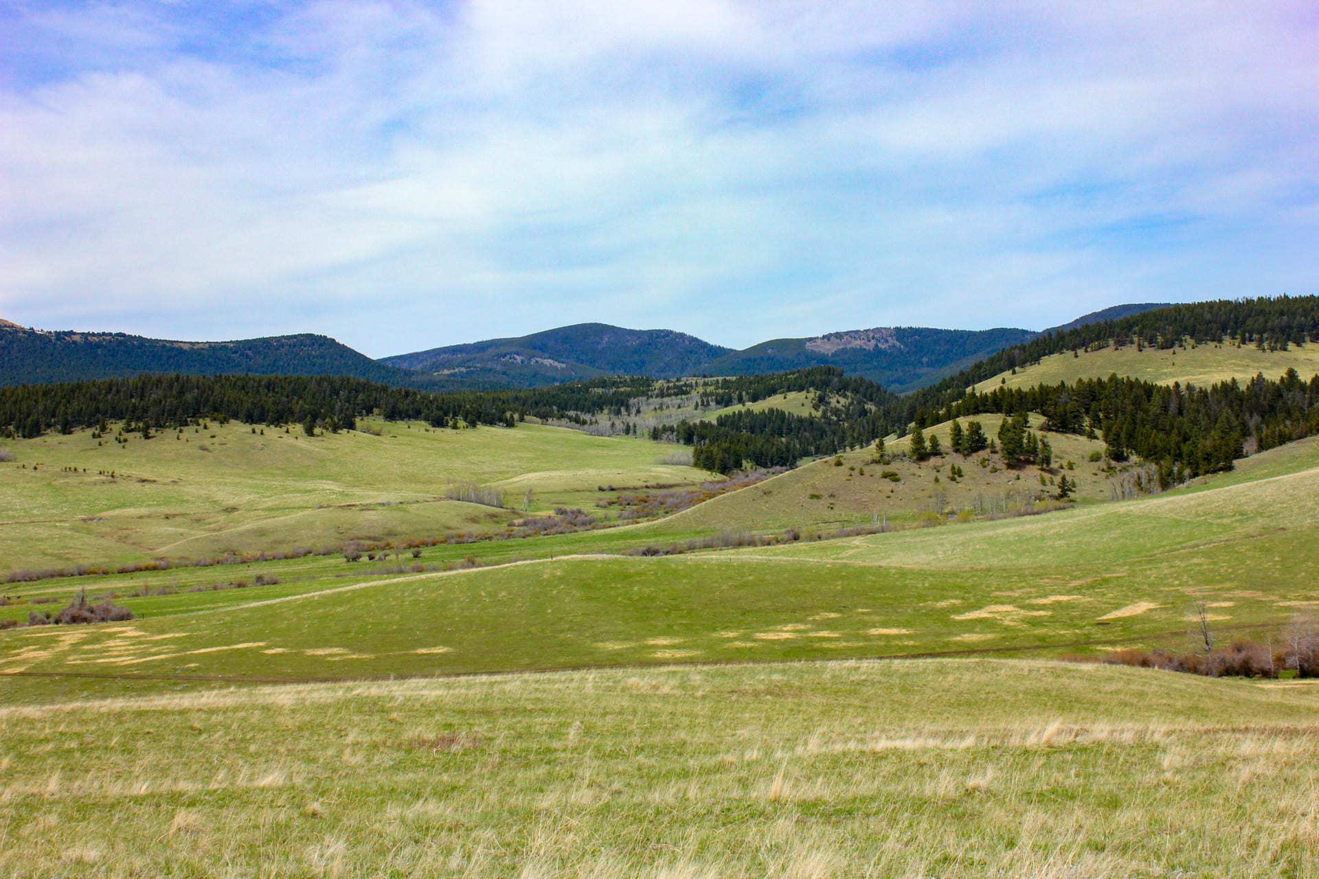 Timbered Ridges Montana Little Belt Elk Ranch | Fay Ranches