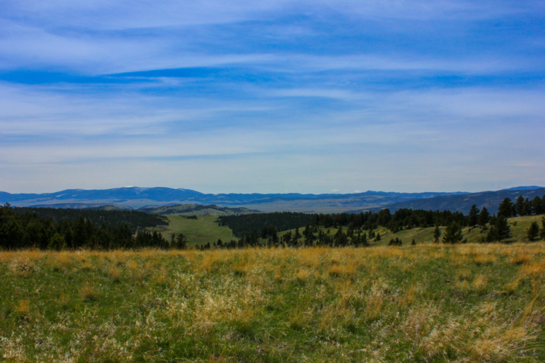 Valley Montana Little Belt Elk Ranch | Fay Ranches