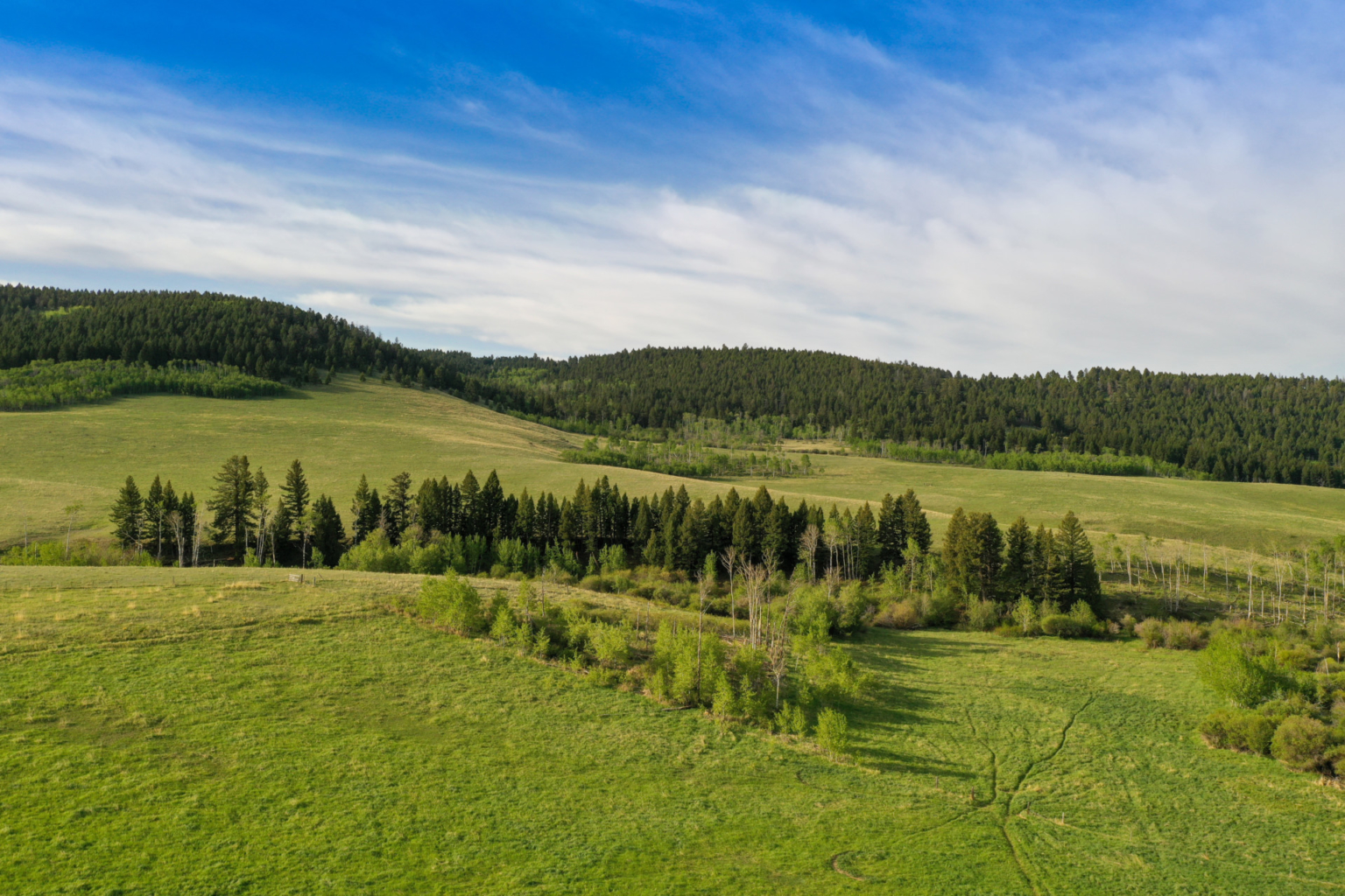 Little Belt Elk Ranch White Sulphur Springs Fay Ranches