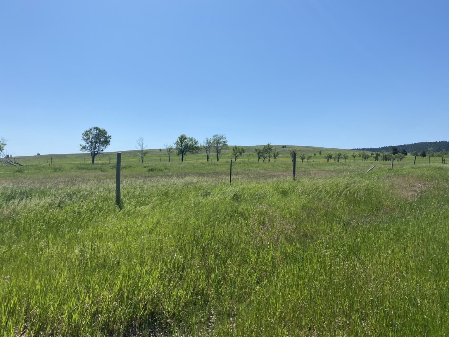 Spearfish Ranchette Horse Property South Dakota Fay Ranches