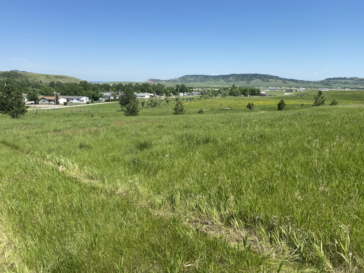 Spearfish Ranchette Horse Property South Dakota Fay Ranches