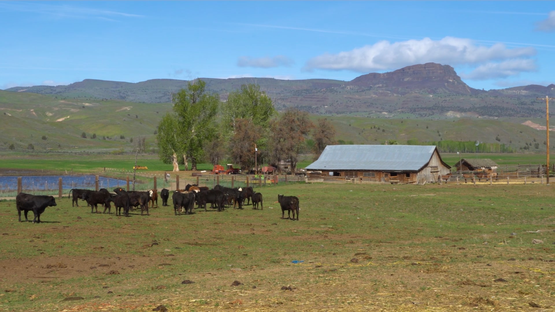 cattle property for sale oregon john day river ranch