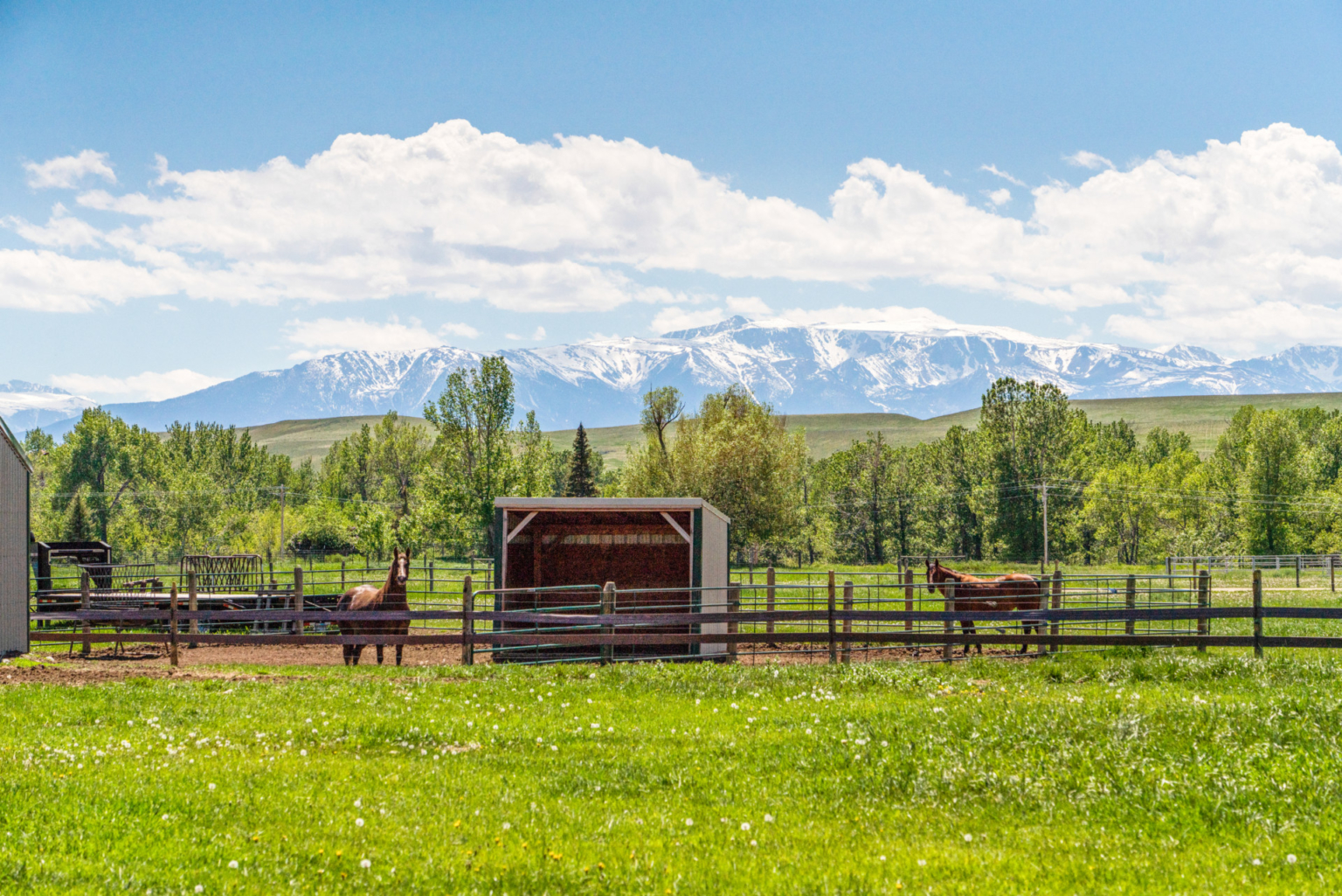 Absarokee Horse Ranch Montana Equestrian Property Fay Ranches