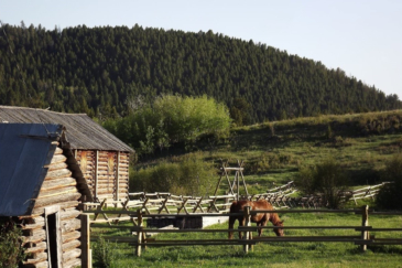 equestrian ranch for sale montana little belt elk ranch