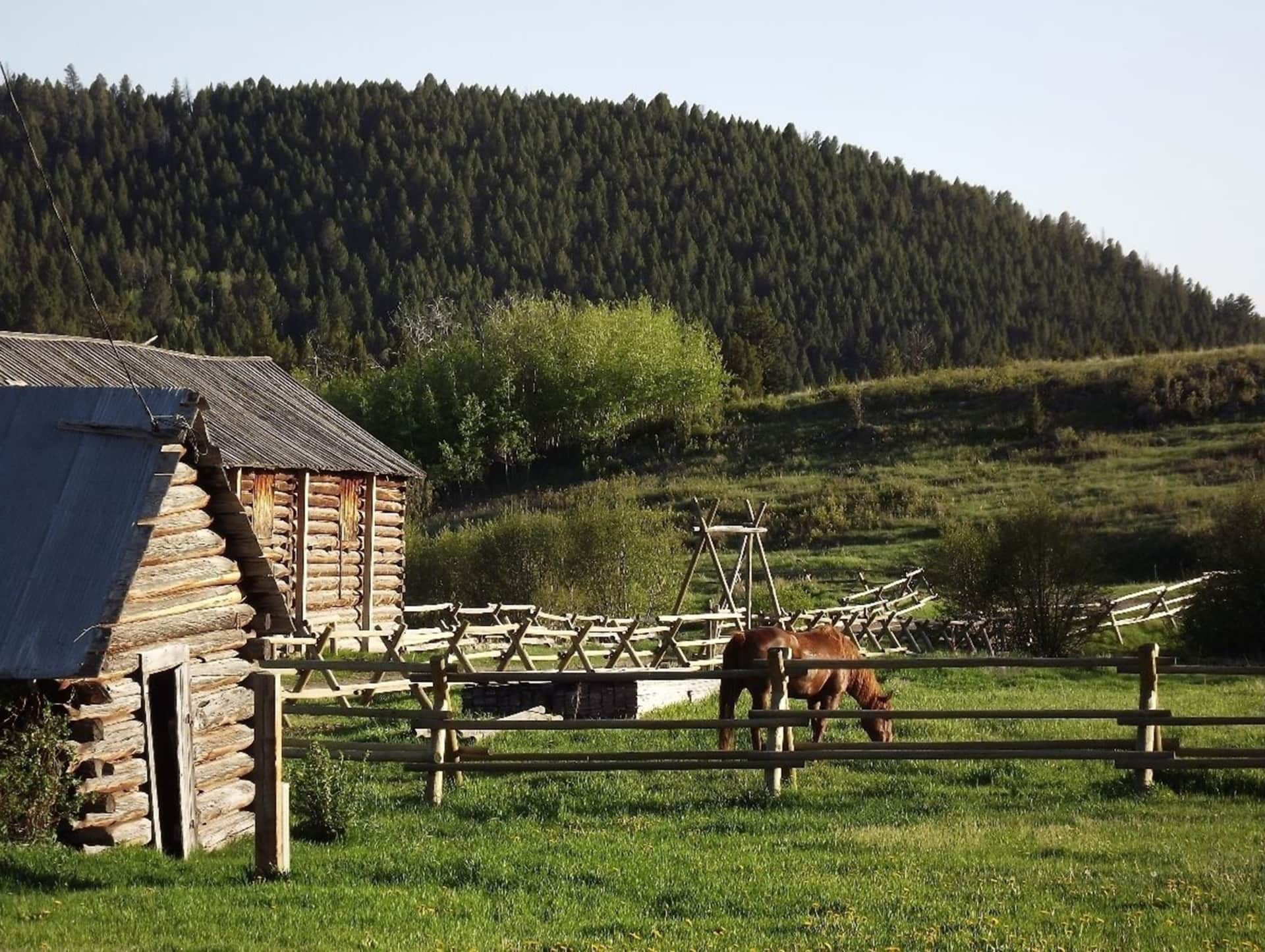equestrian ranch for sale montana little belt elk ranch Fay Ranches