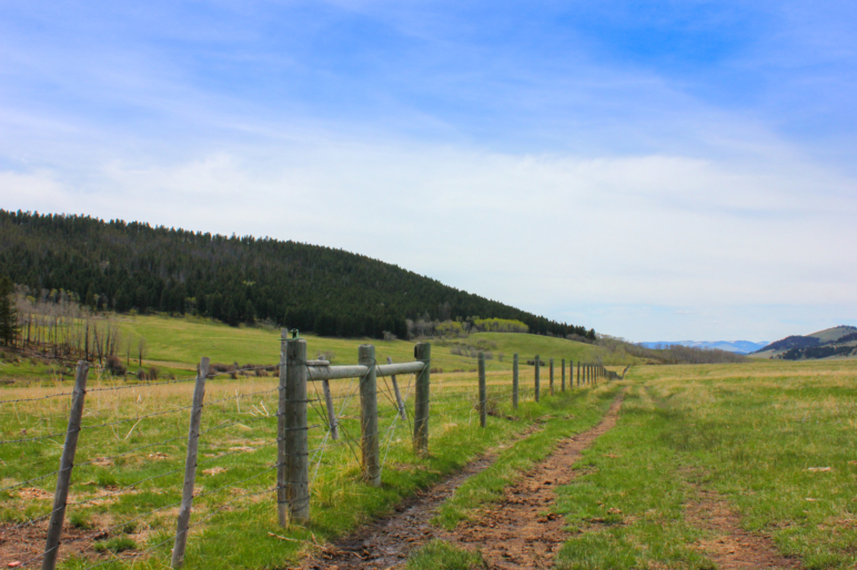 Little Belt Elk Ranch 