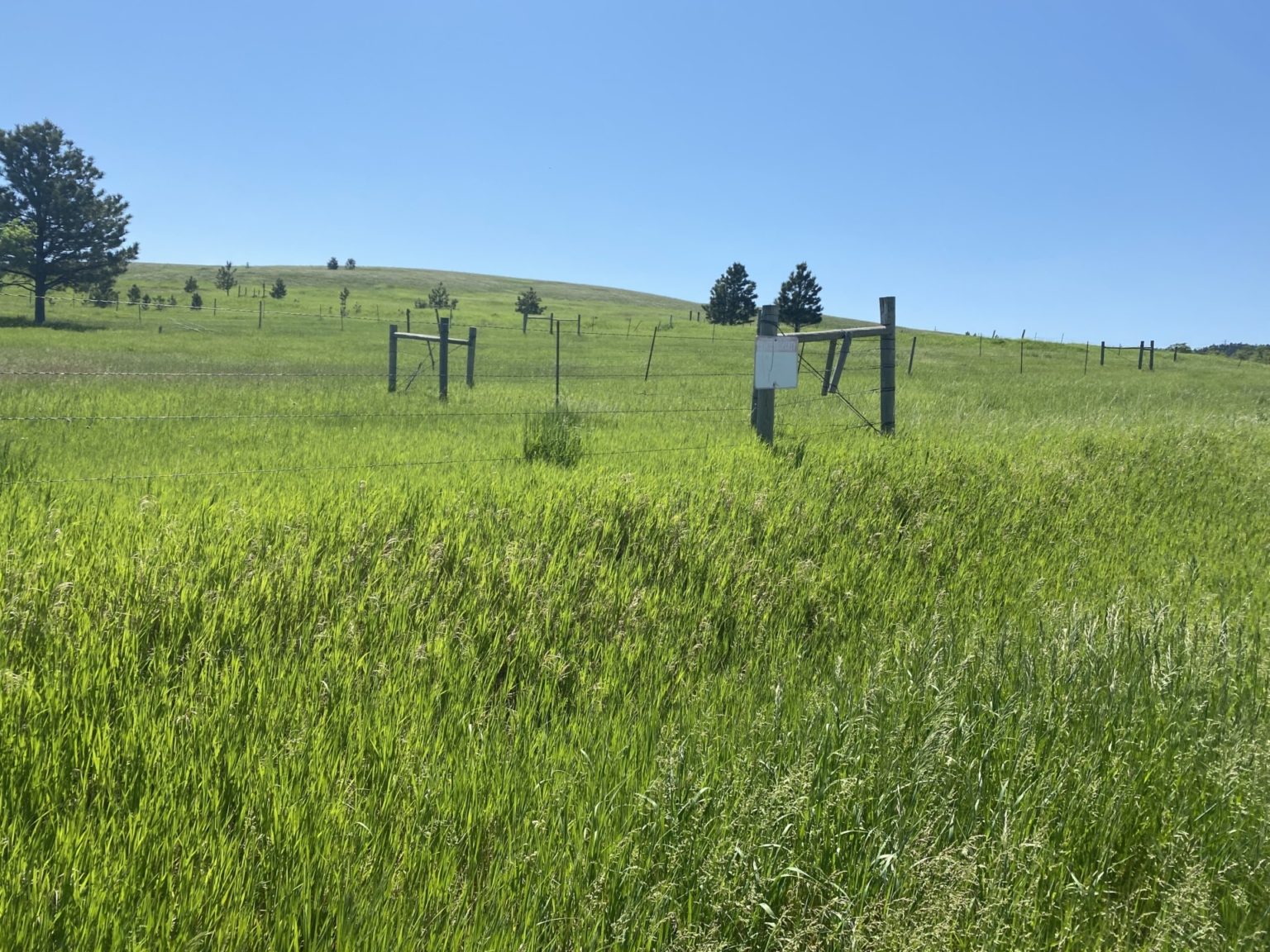 Spearfish Ranchette Horse Property South Dakota Fay Ranches