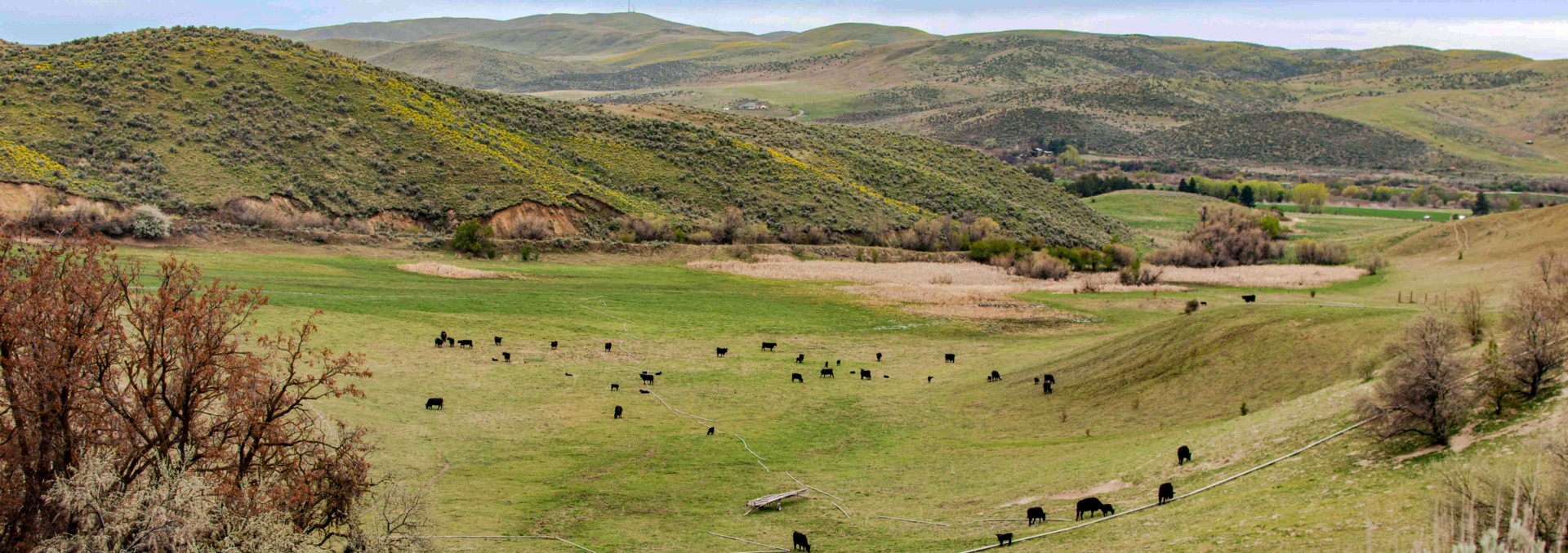 idaho land for sale mann creek valley farm and ranch