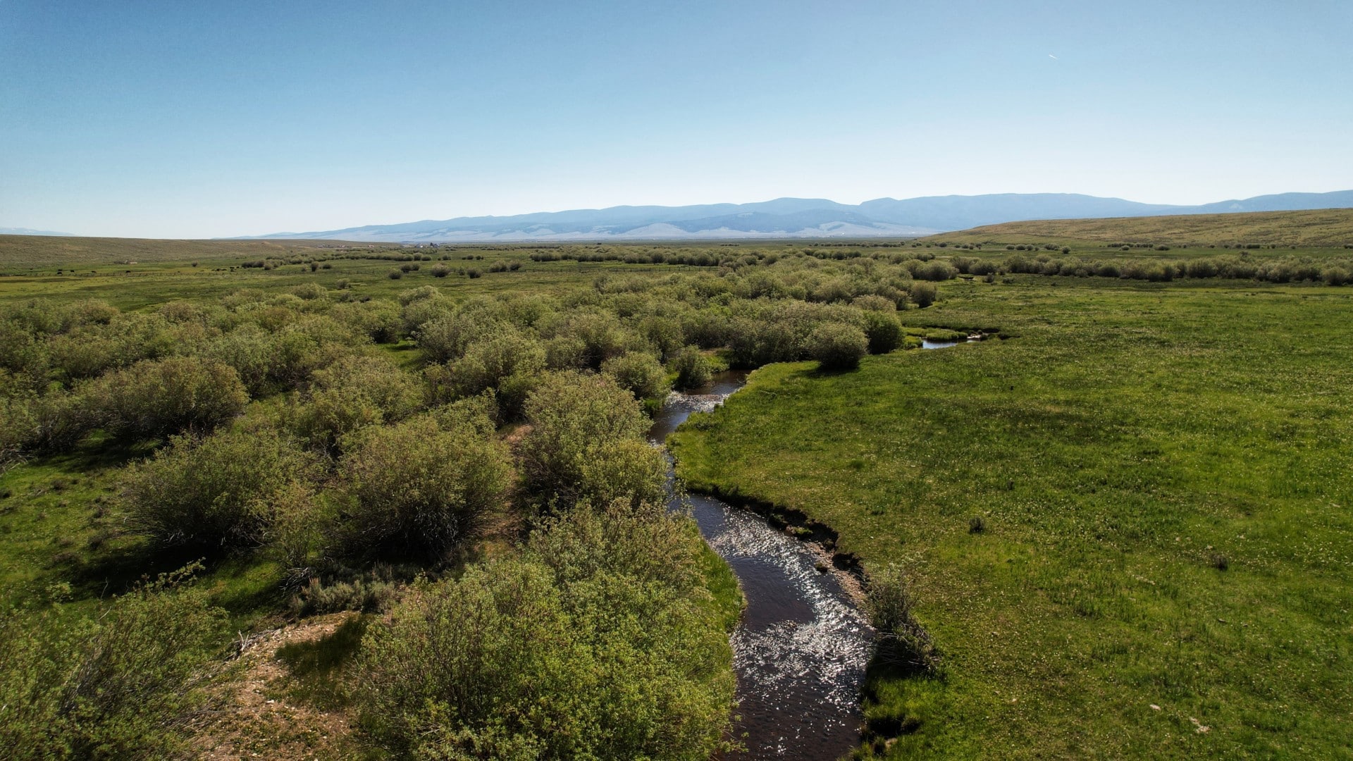 Live Water Swamp Creek Montana Moose Creek Ranch