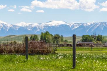 montana home for sale absarokee horse ranch