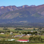 montana property for sale swanson apple orchard