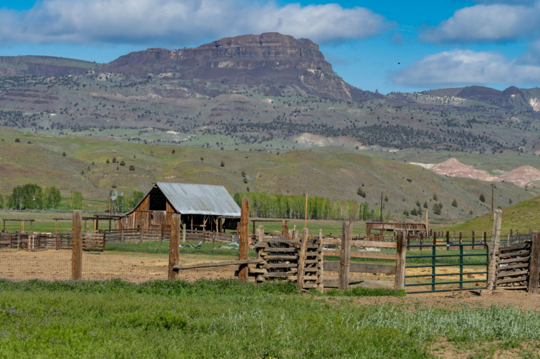 John Day River Ranch Oregon Cattle Property Fay Ranches