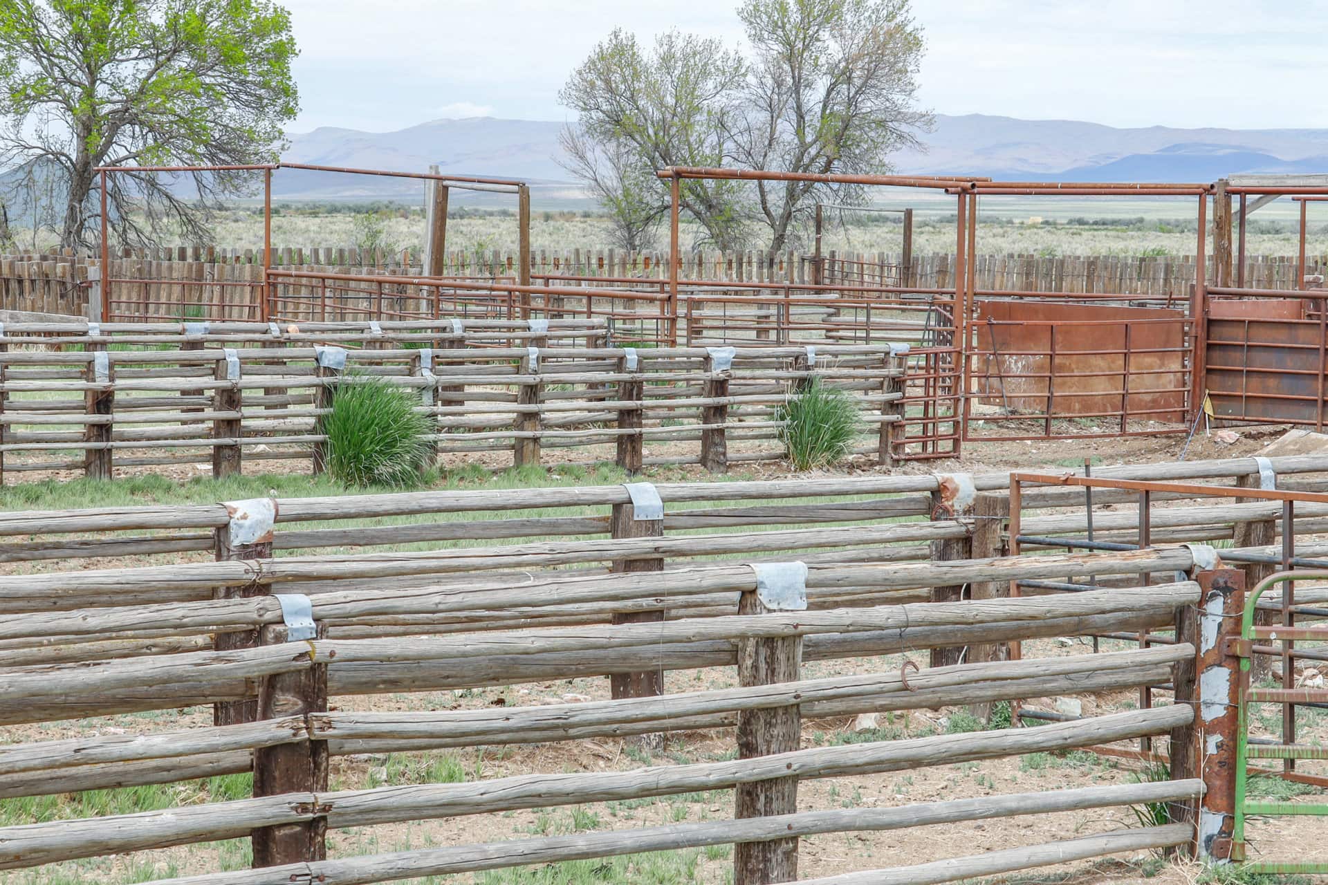 sorting corrals alley nevada lucky 7 ranch