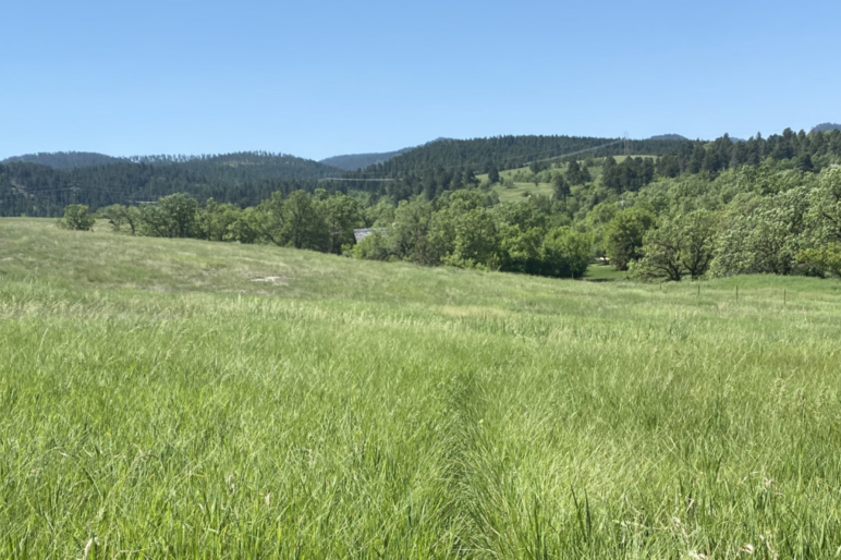 South Dakota Ranch Land Properties For Sale Fay Ranches