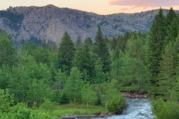 Beautiful Ranch For Sale Montana Sternad Ranch Cover