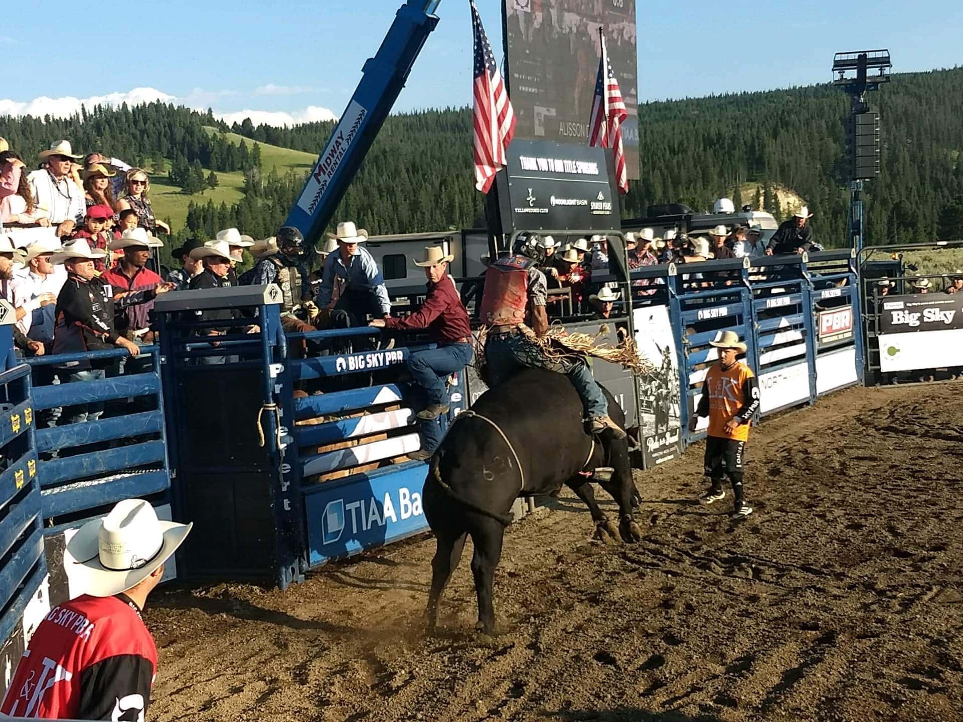 Big Sky montana PBR Bareback rodeo rider Fay Ranches