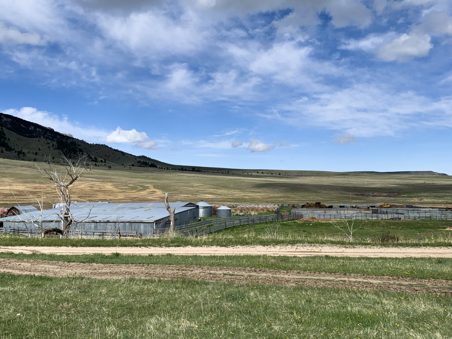 Canyon Ranch at Pryor Gap Montana Cattle Ranch Fay Ranches