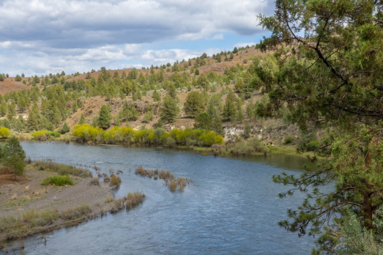 Scott Hawes Oregon Idaho Ranch Sales Broker Fay Ranches