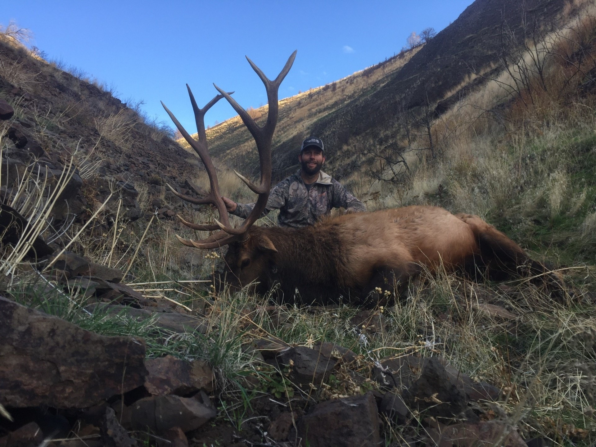 big game hunting rocky mountain bull elk oregon john day river ranch