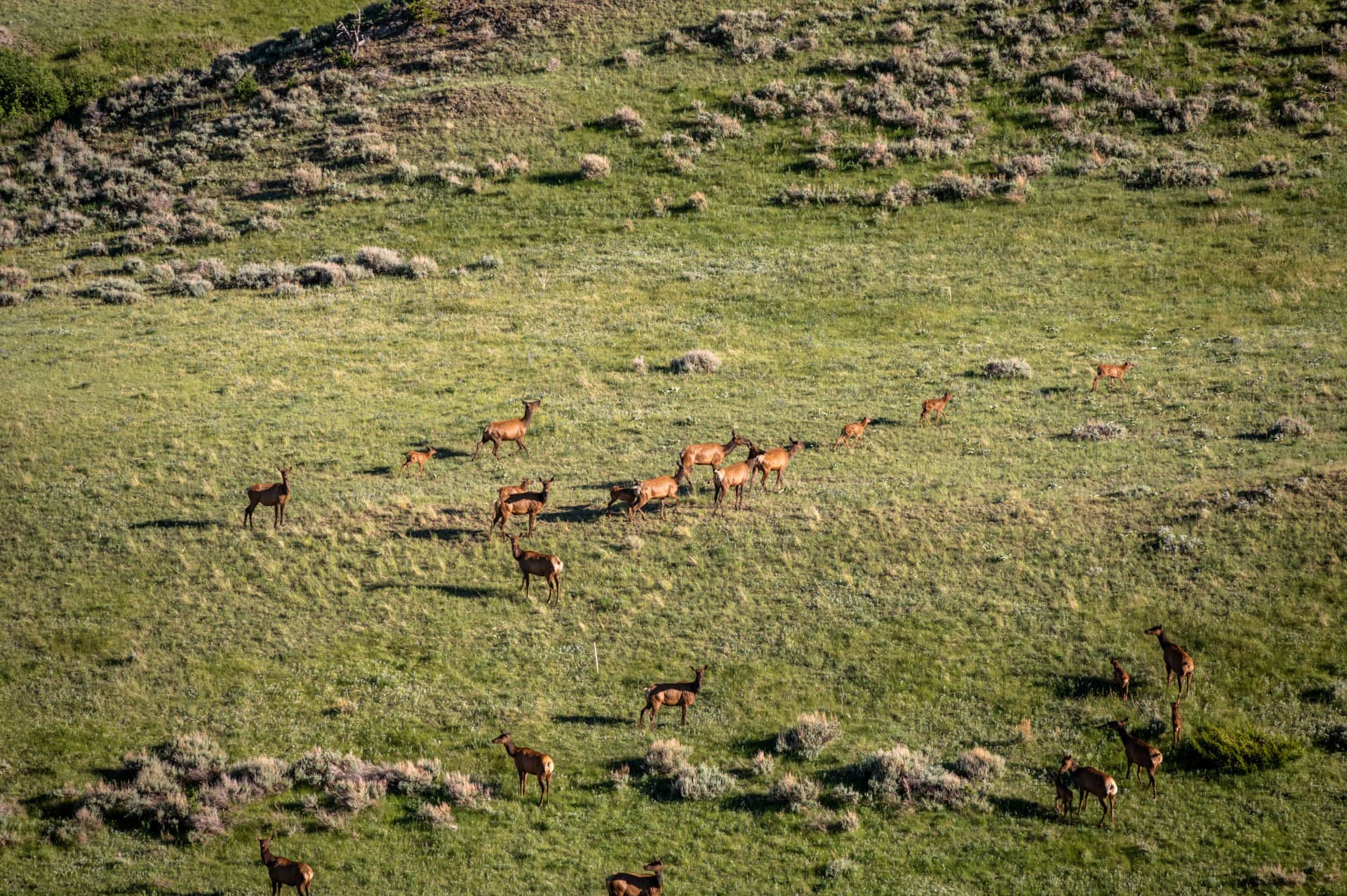 hunting montana bozeman pass ranch tract 3