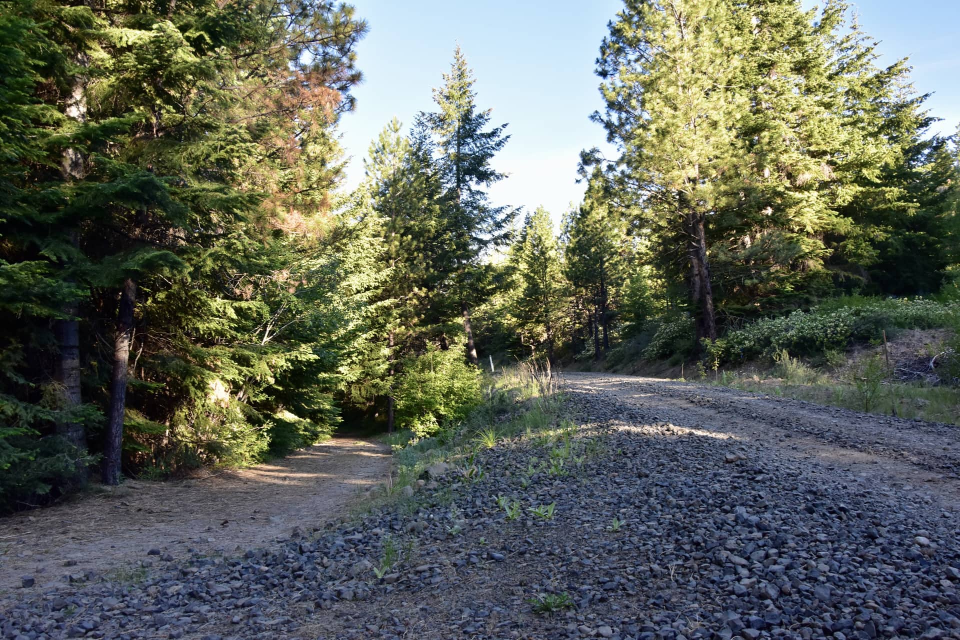 road to campsite washington nasty creek road