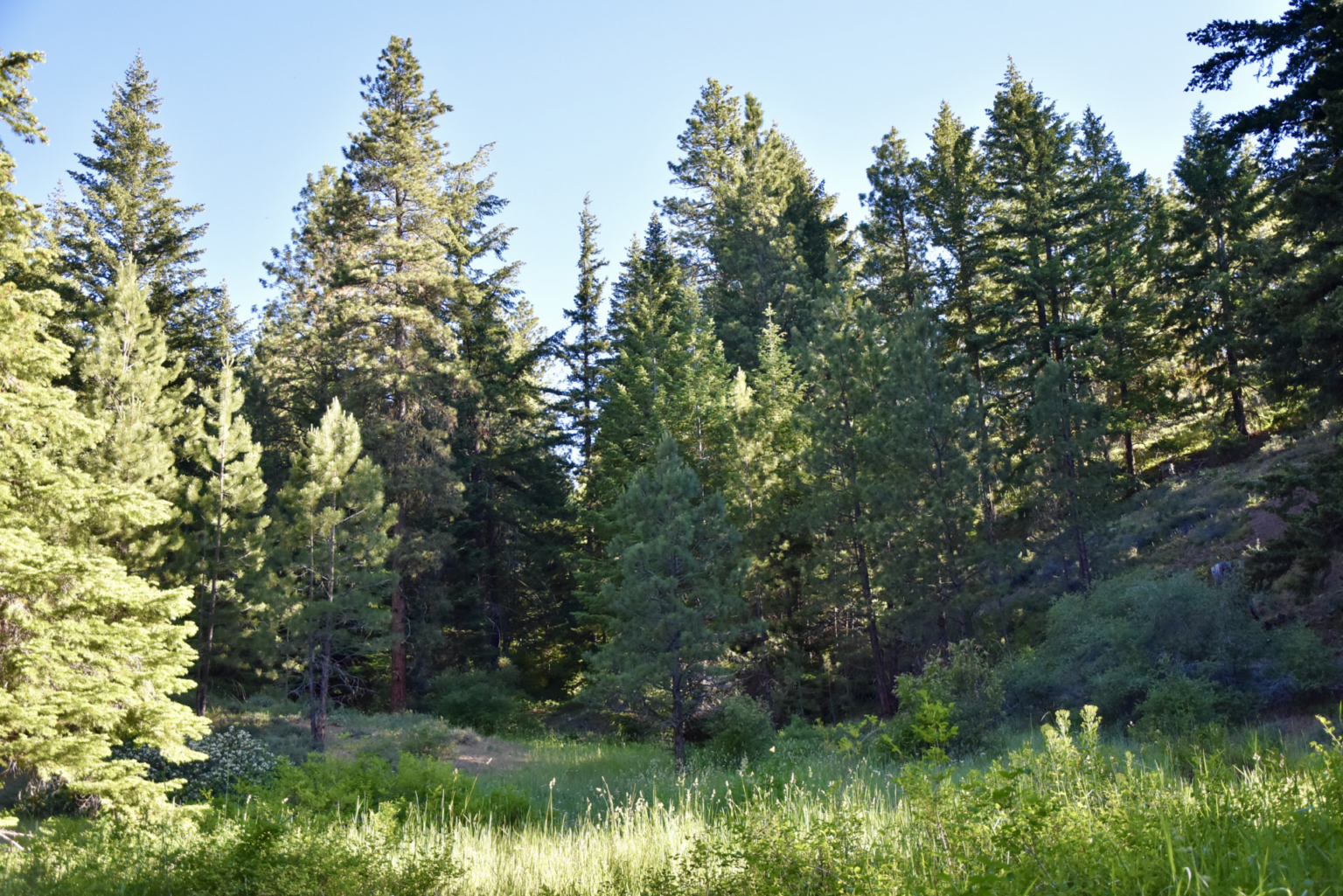 Nasty Creek | Yakima Washington Land | Fay Ranches