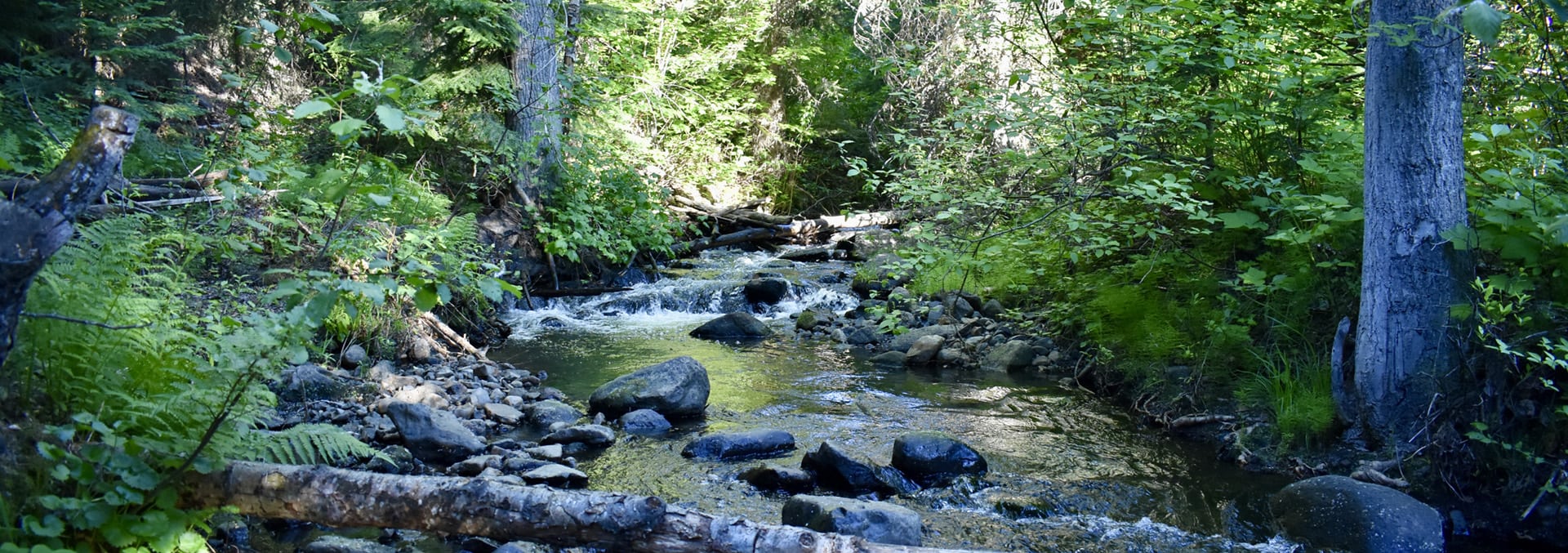 washington property for sale nasty creek road