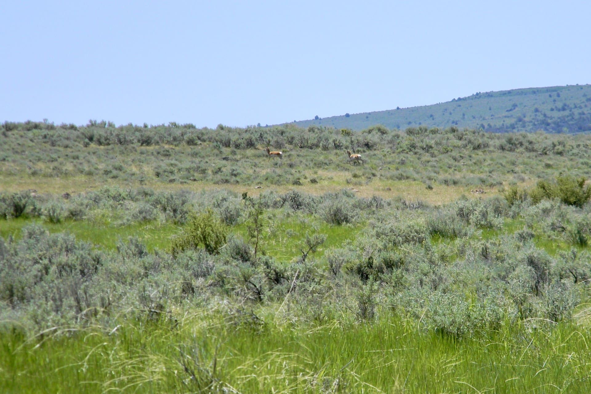Antelope Idaho Cow Creek Ranch