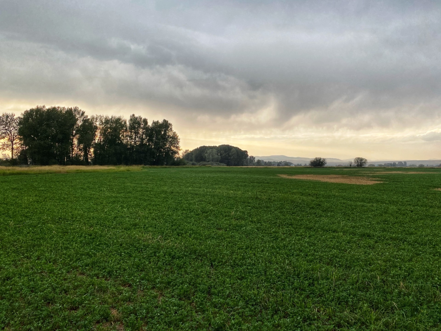 East Gallatin River Reserve Belgrade, Montana Fay Ranches