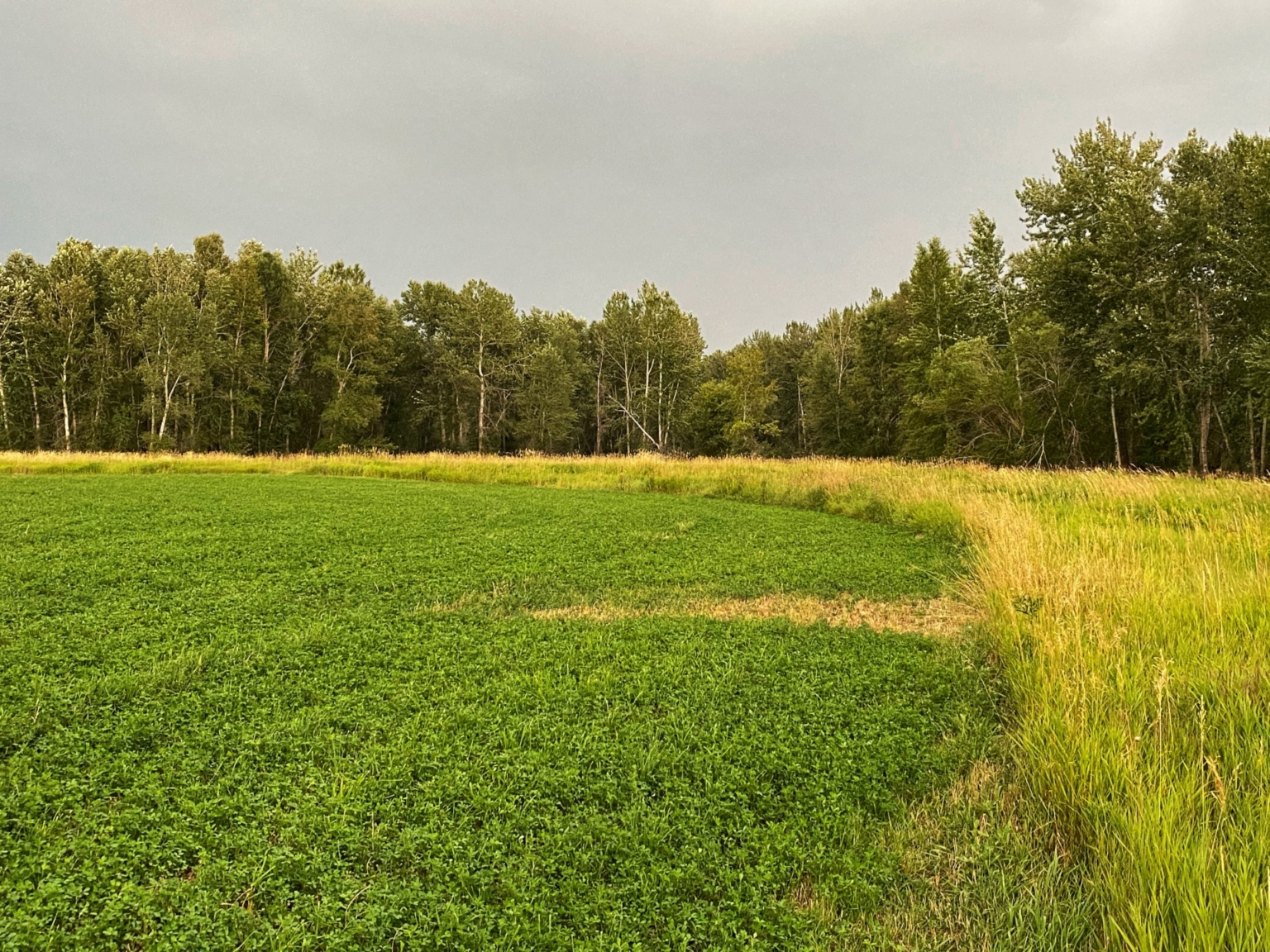 East Gallatin River Reserve Belgrade, Montana Fay Ranches