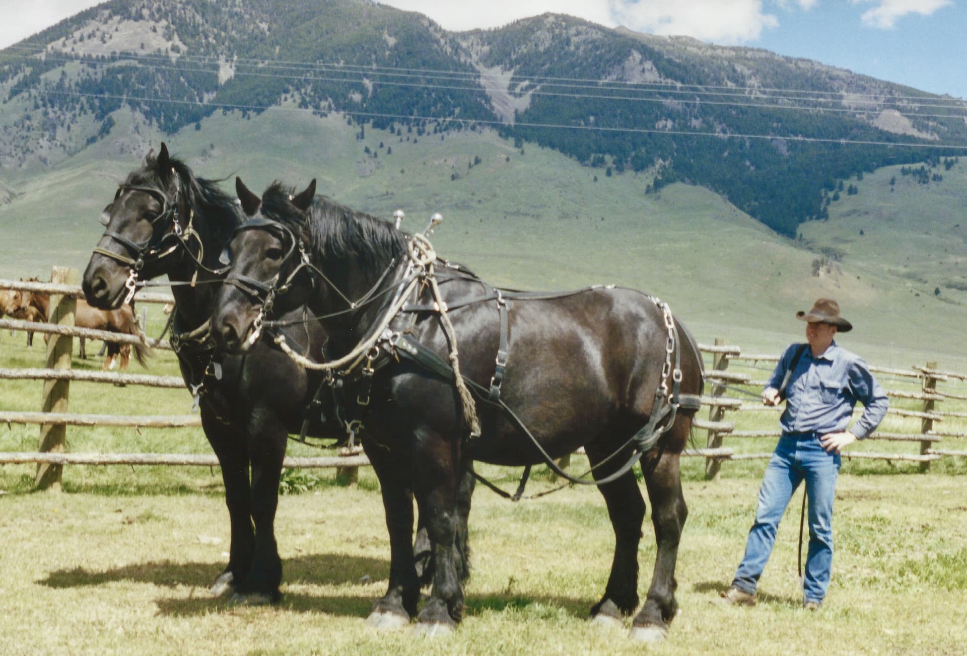 Matt Henningsen ranch sales montana big horse