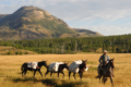 Matt Henningsen ranch sales montana horses