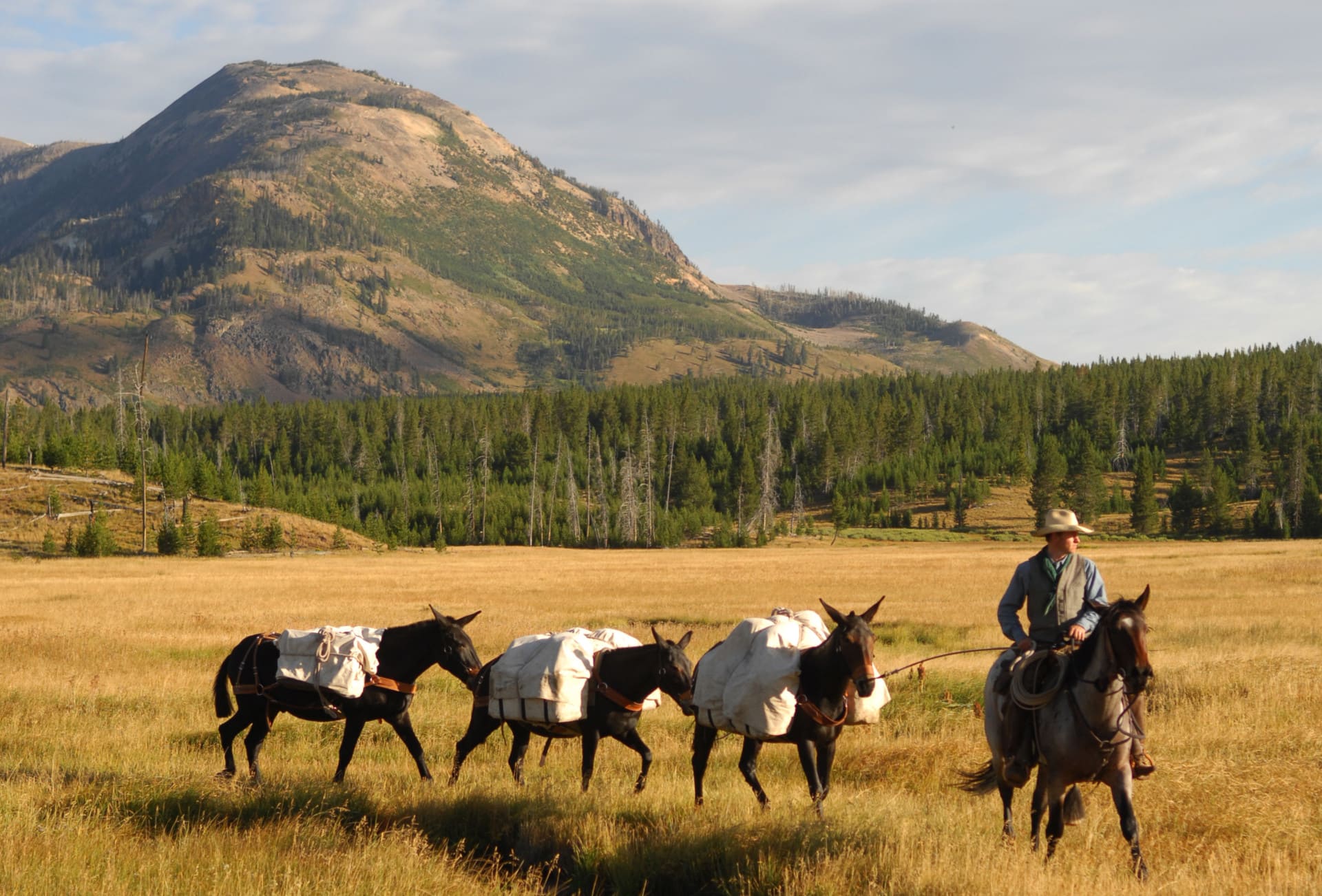 Matt Henningsen ranch sales montana horses