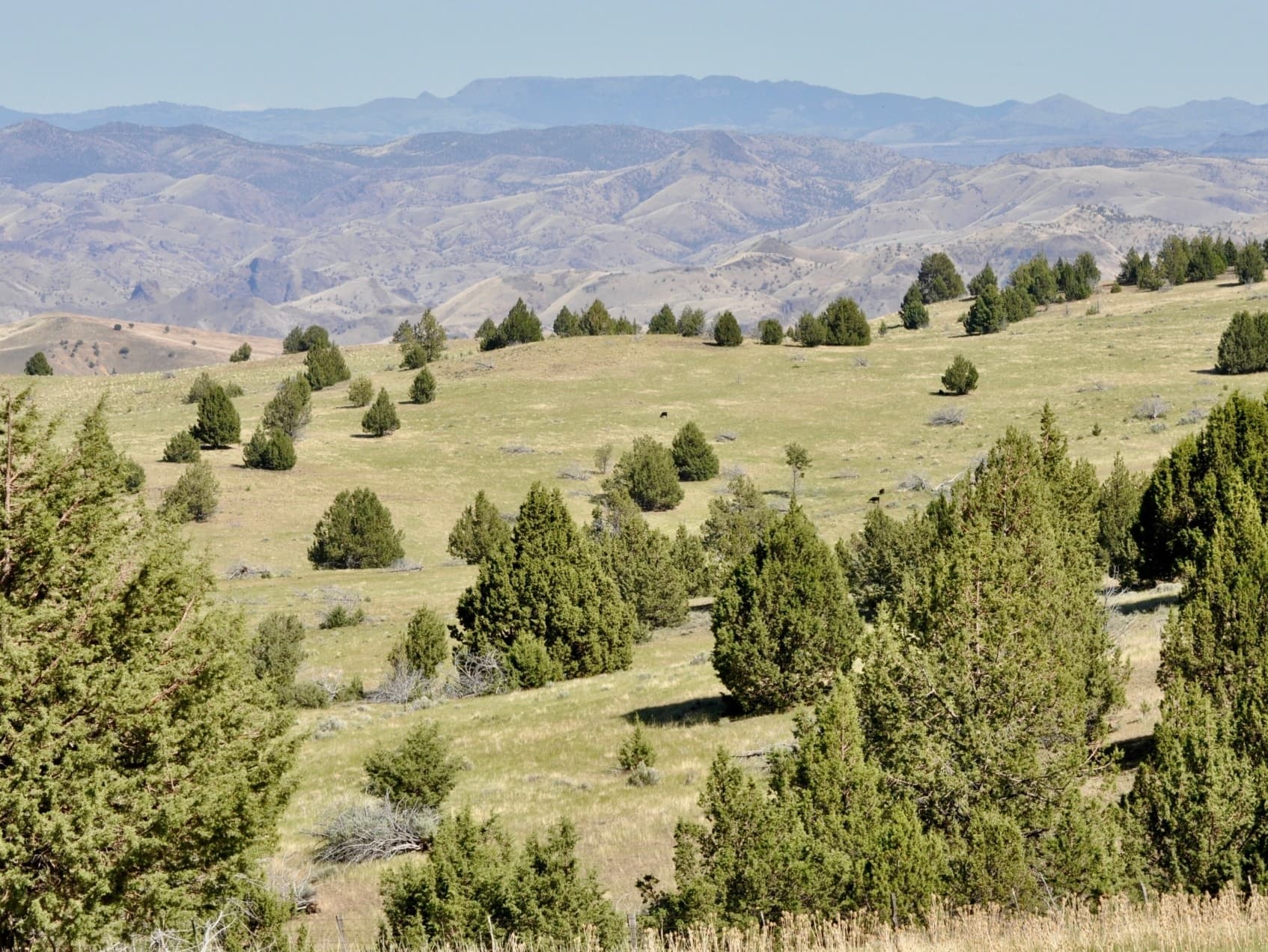 Oregon Ranch For Sale John Day Breaks Pasture