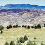 Oregon Ranch Land For Sale John Day Breaks Pasture