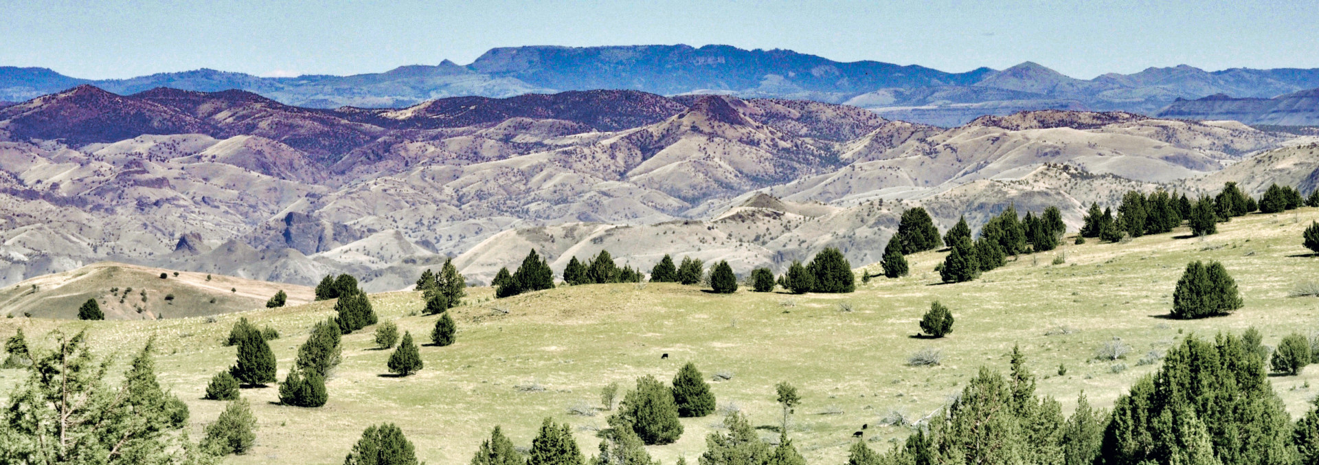 Oregon Ranch Land For Sale John Day Breaks Pasture