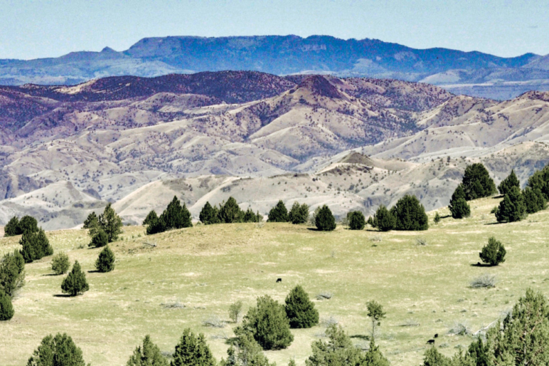 Flying S Ranch WorldClass Hunting Oregon Fay Ranches