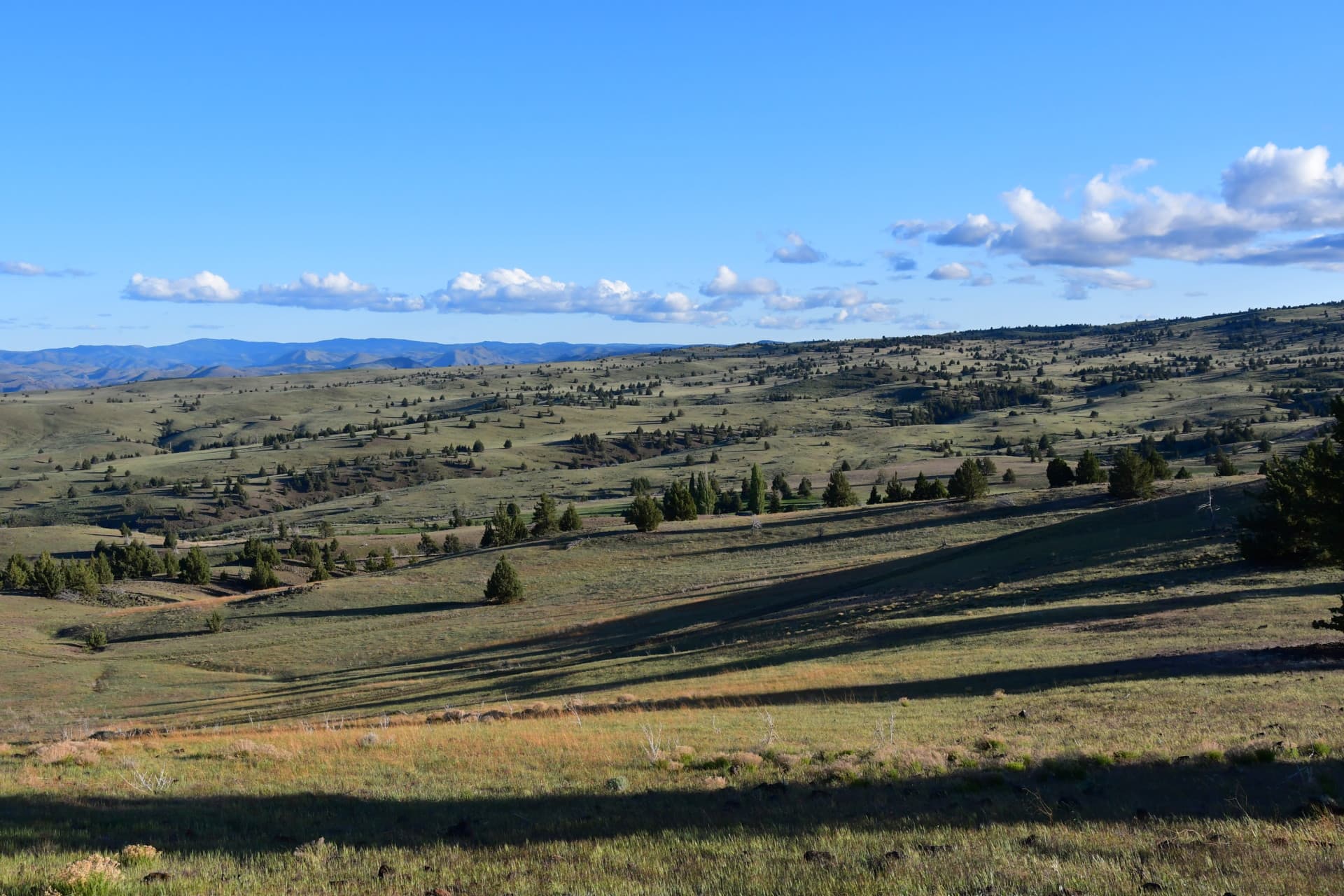 Rangeland For Sale Oregon John Day Breaks Pasture