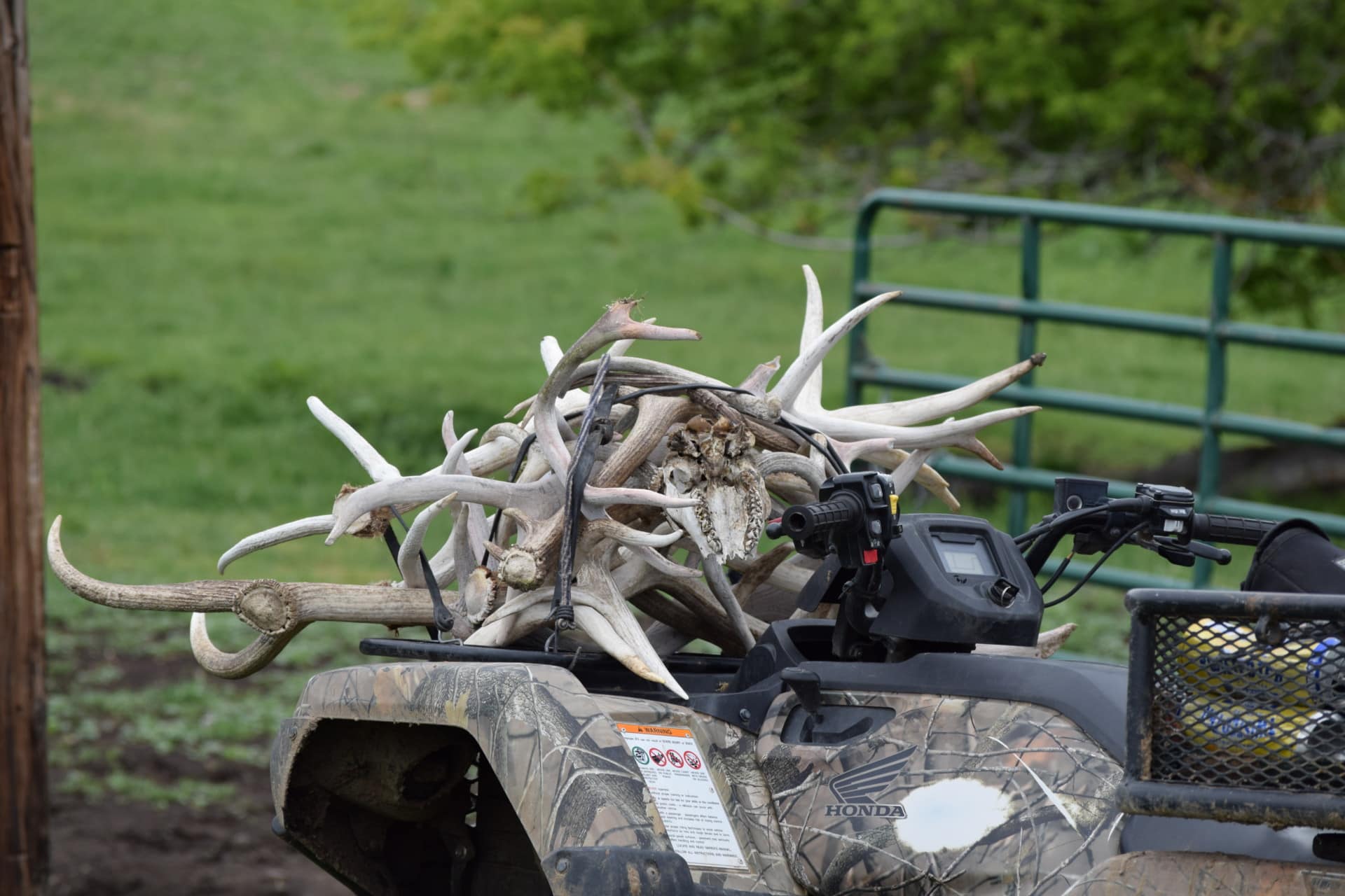 Shed Hunting Oregon John Day Breaks Pasture