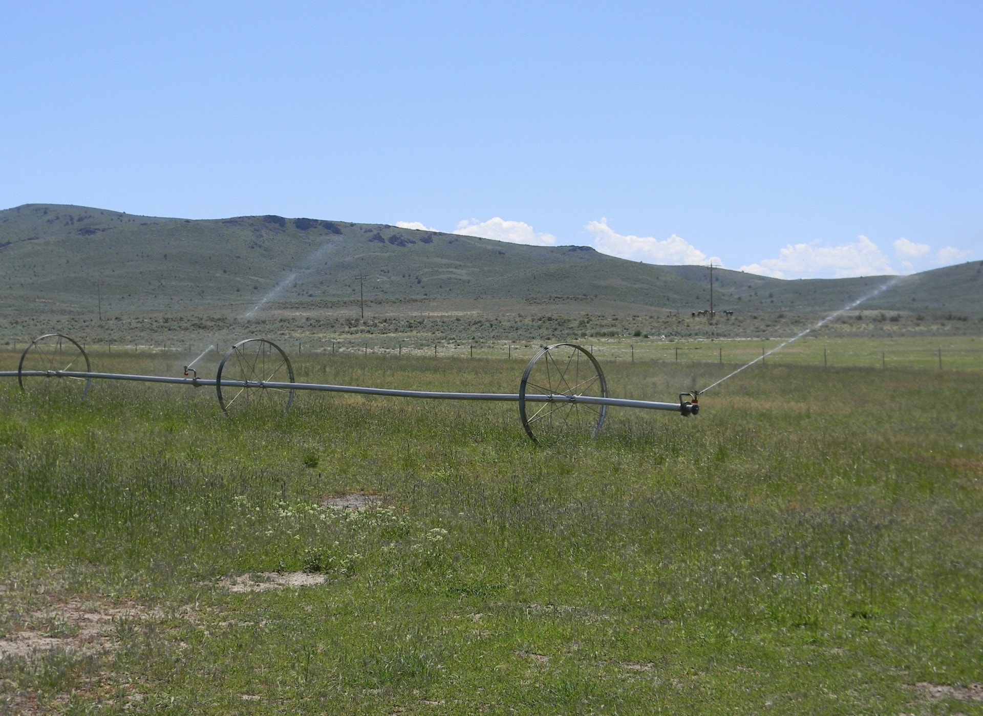 Wheel Line Idaho Cow Creek Ranch