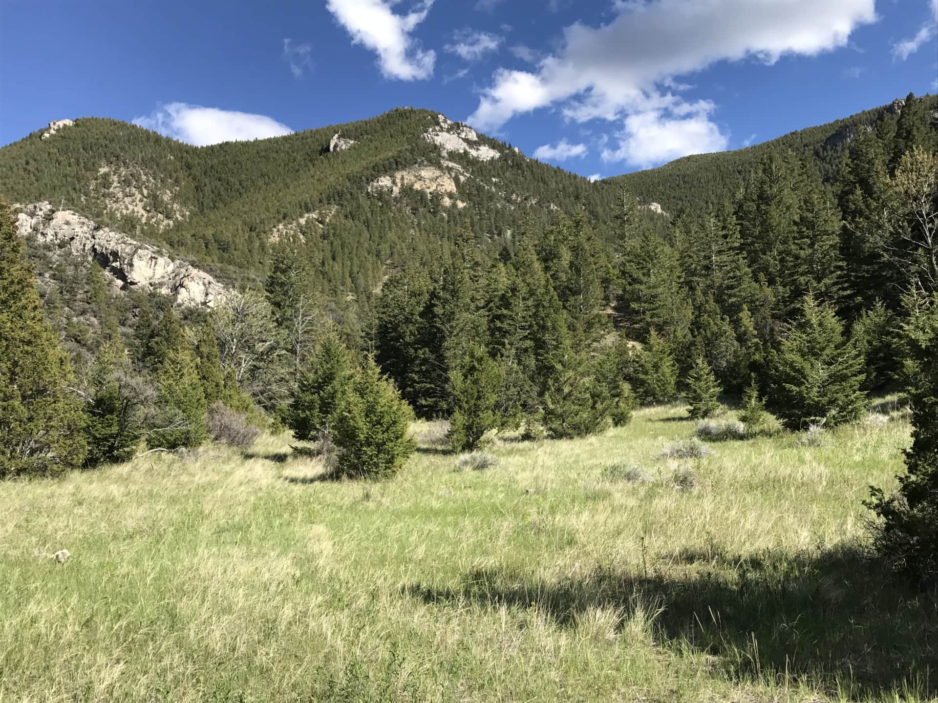 hunting montana jefferson springs ranch (2)