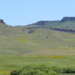 idaho property for sale Cow Creek Ranch