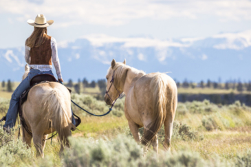montana land for sale calamity jane horse cache