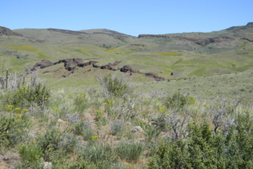 upland bird hunting property for sale Idaho Cow Creek Ranch