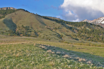 Belgrade Montana Land For Sale Corbly Mountain Ranch