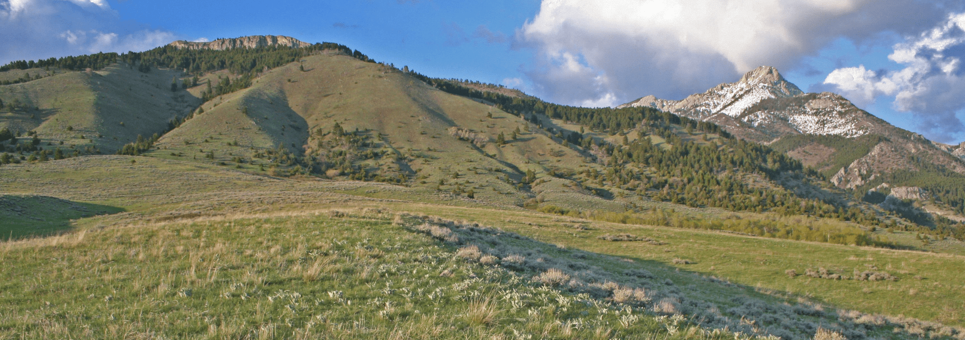 Belgrade Montana Land For Sale Corbly Mountain Ranch