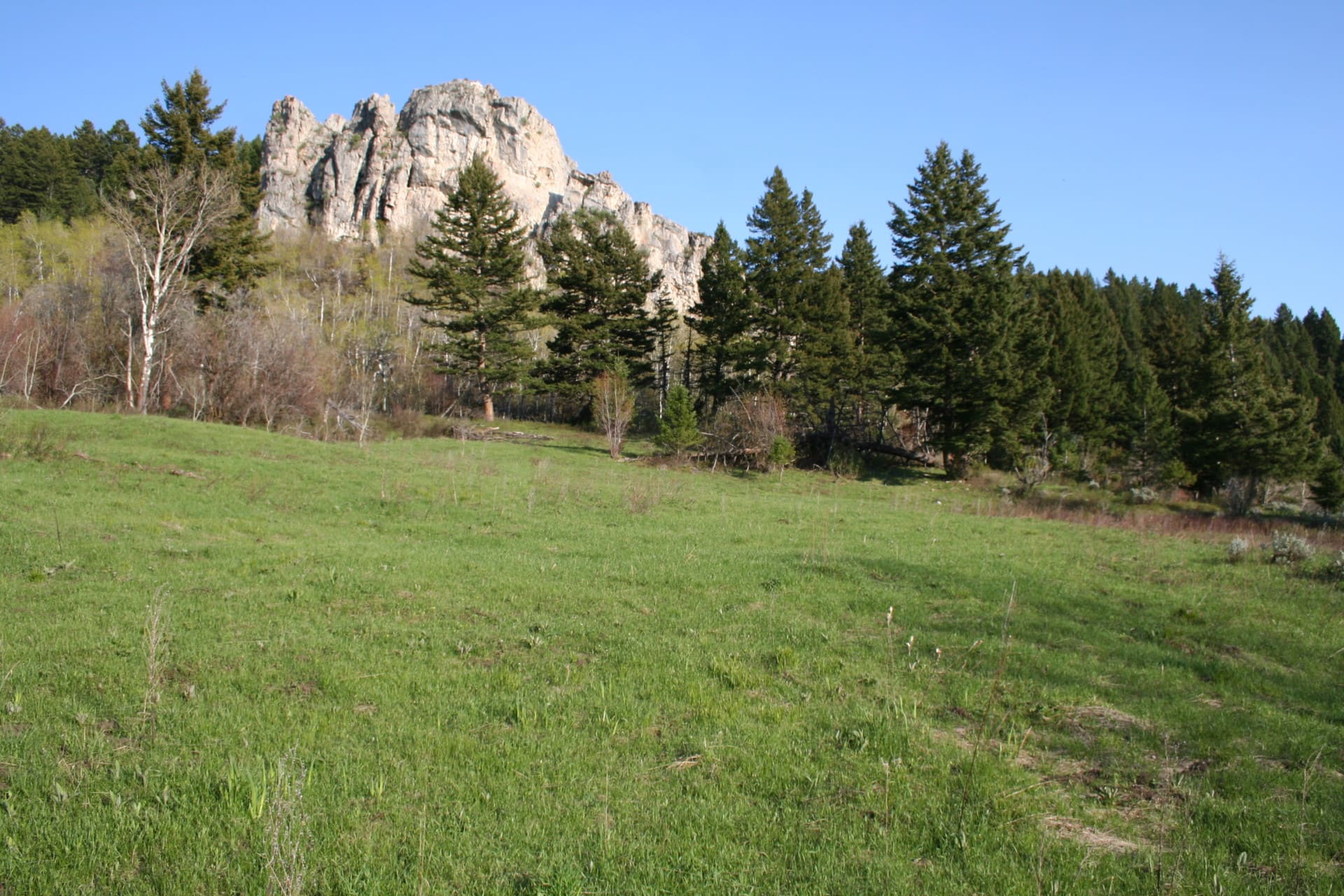 Big Game hunting property For Sale Bozeman Montana Corbly Mountain Ranch