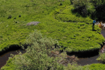 Big Hole Valley Land Montana Land For Sale Moose Creek Sanctuary